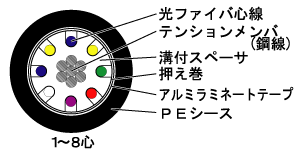 構造図